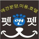 펫미리애견샵 이미지
