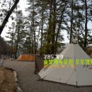 강원도 횡성 솔밭체육공원 오토캠핑장