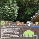 전왕온의묘 이미지