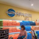 스파렉스 이미지