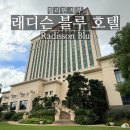 블루시티 빌리어드 클럽 | 세부 시티 5성급 래디슨 블루 호텔 1편(vip 혜택, 객실, 클럽라운지)