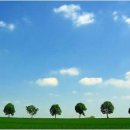 여백 / 도종환 이미지