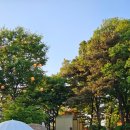 청온담