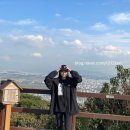 인천 여행 계양산! 정상까지 등산 후기