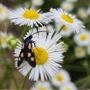 하늘아래 이미지