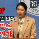 민주, 한동훈 막말은 무슨 정치인가 이미지