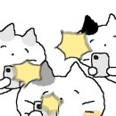 이마트24 R강릉월화거리점 이미지