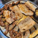 강남 갈매기