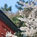 호텔하운드목포평화광장점 이미지