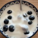 삼두목장 | SNS 끊기 1일차