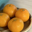 펜션WITH민박 이미지