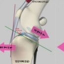 밤비동물병원 이미지