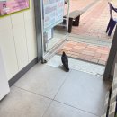 석남어린이공원 | 2025년 상반기 결산