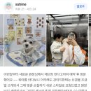 퓨어멍 이미지