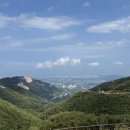 롱비치275 이미지