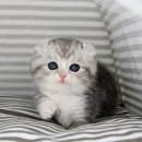 해맑은2농장 이미지