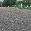 도그 스포지움 이미지