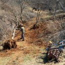 종화농장 이미지