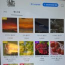 라이크댓커피 | 부산대카페 추천, 부산3대커피 라이크댓커피 직접 다녀온 후기