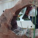 곰배령 팜스테이 이미지