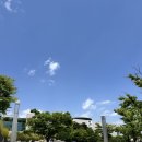 용산-이촌-850 | 서울 국립중앙박물관 전시 나들이로 방문하기 좋은 곳(사유의방은 필수)