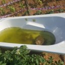 인창농장 이미지