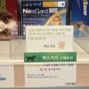 웃음짓는약국 - 안성시 중앙2길 10 | 웃음짓는약국