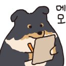 한우동물병원 이미지