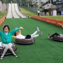 베어스 타운 이미지