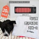 레이동물병원 | [공지] 강아지 슬개골탈구 관리 펫큐어레이 커버큐 홈케어 후기(+공구 오픈)