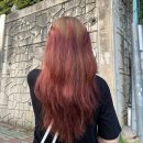 헤어명가 서희 | 김해 주촌 서희 헤어명가 서희 프리미엄 블랙빼기 후 염색 후기 염색잘하는곳