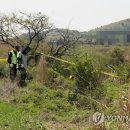 동광리-14 이미지