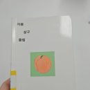 이도클럽 | [공지] 한로로 자몽살구클럽 소설 후기