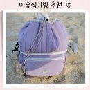이유식 보냉백 내돈내산 아프리콧스튜디오 캐스터네츠백 1년사용 추천후기