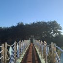 장풍숲입구 이미지