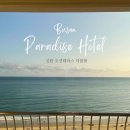 파라다이스호텔신관 | 부산 파라다이스호텔 신관 오션테라스 더블룸 솔직후기｜탁 트인 오션뷰 객실, 어메니티 리얼체크