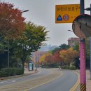 카페찹스베이커리