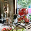 인스타일링 이미지