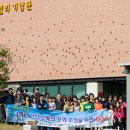 화진중학교 이미지