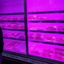 샘고을한우 이미지