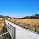 기흥레스피아 축구장화장실 | 용인 기흥호수 산책로 C코스 기흥레스피아 생태학습장 주차장