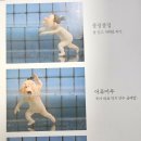 딸부자목욕탕