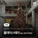 스테이데이앤데이(Stay day&Day) | 춘천 크리스마스 테디베어 트리 있는 포토존이 많은 베이커리 카페 '올데이스테이(ALL DAY STAY)'
