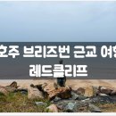 자유카 이미지