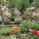 음성(남이) 이미지