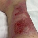 새솔외과의원 이미지