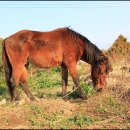 명상농장 이미지