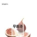 네츄럴로드