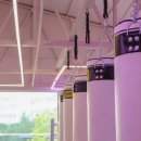 팔로니아 복싱 이미지