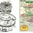 환국(桓國)은 실제로 존재 했을까? | 북유럽과 연결되어 있는 신라의 문화 코드 이미지